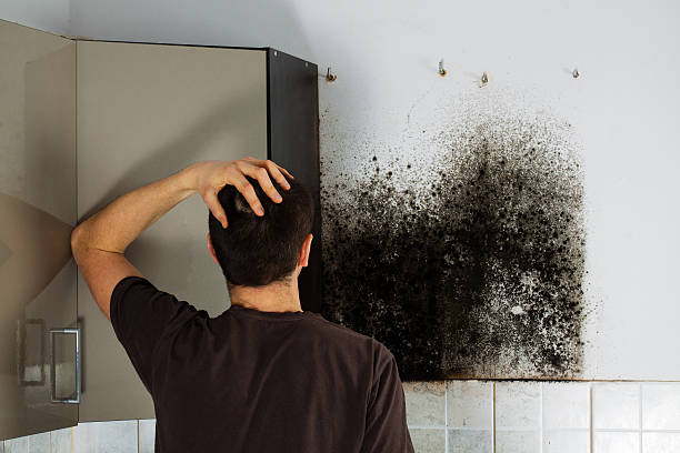 Best Mold Testing  in Drexel, NC